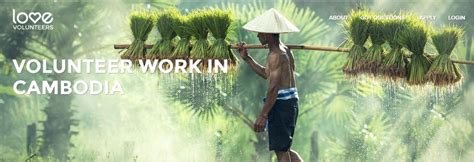 ivhq cambodia|Incredible Volunteering in Cambodia: Costs from USD 360.